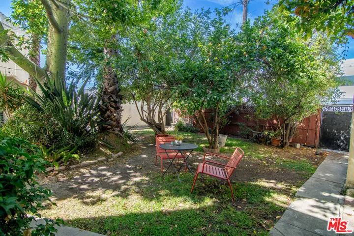 Shared Backyard