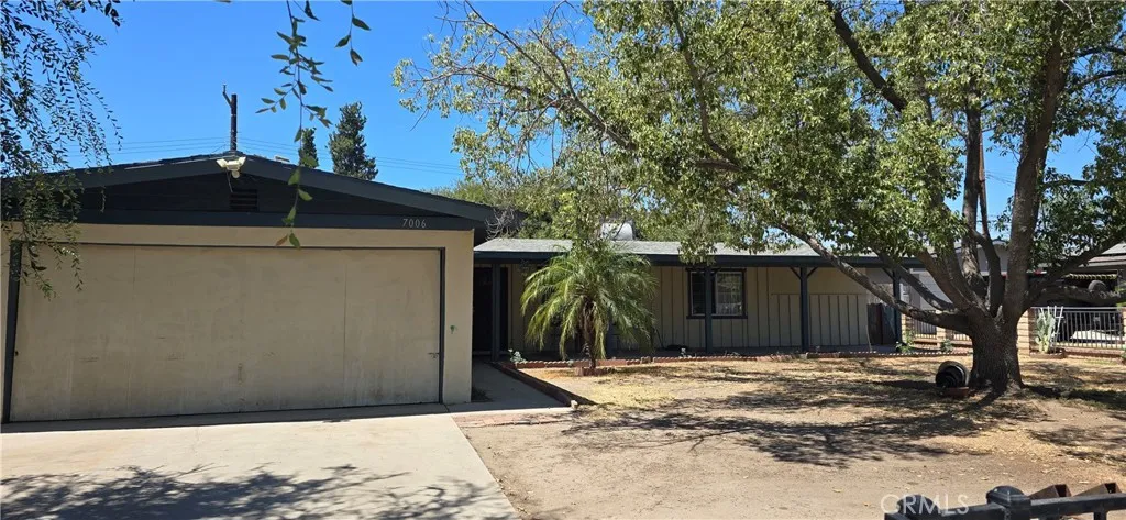 7006 Elm