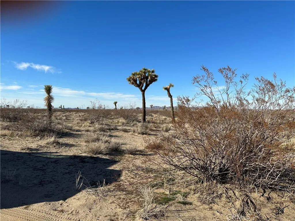 2 Wilson Ranch Rd, Adelanto, California 92301 — photo 4