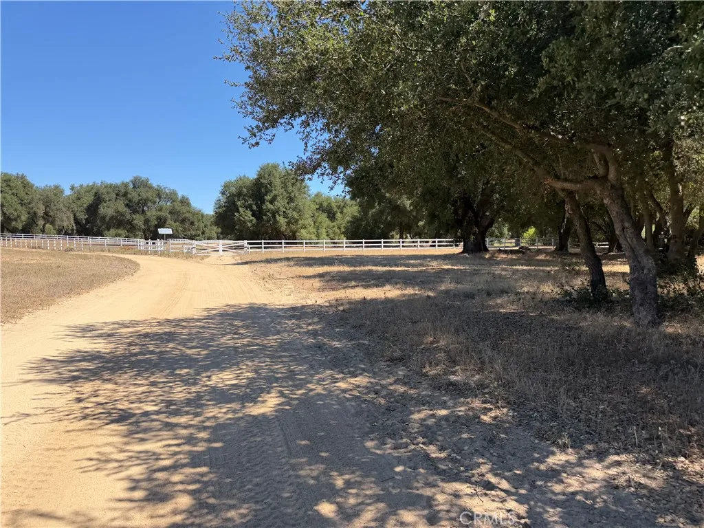 Roads through out