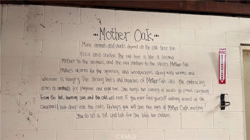 Written on one of the girl scout walls.