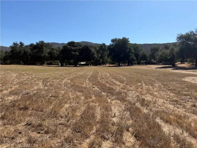 We love this land!