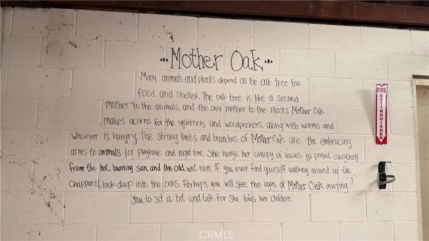 Written on one of the girl scout walls.