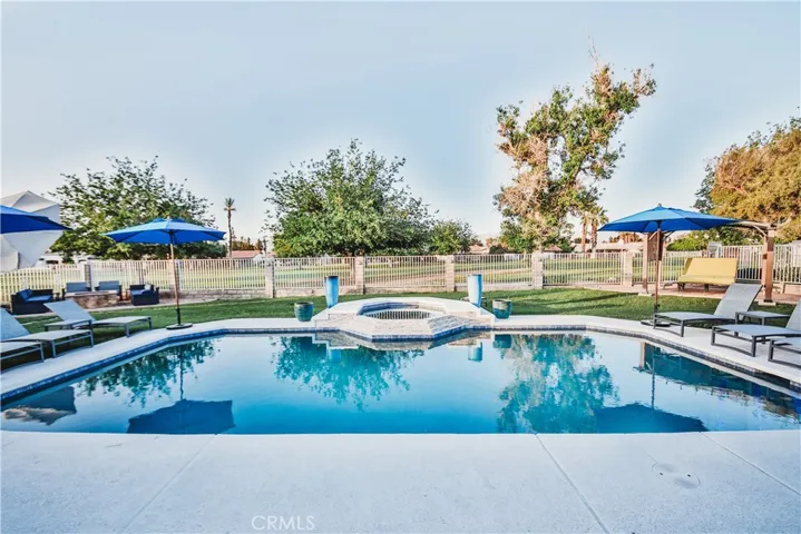 Back Yard /Pool 2