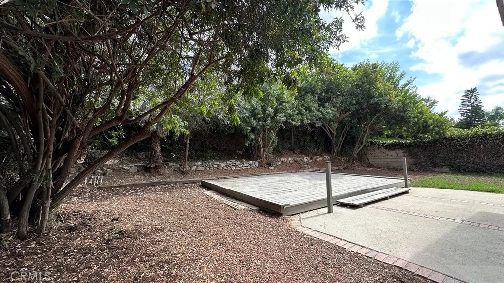 Backyard from house to the east