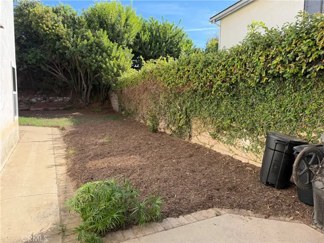 East Sideyard