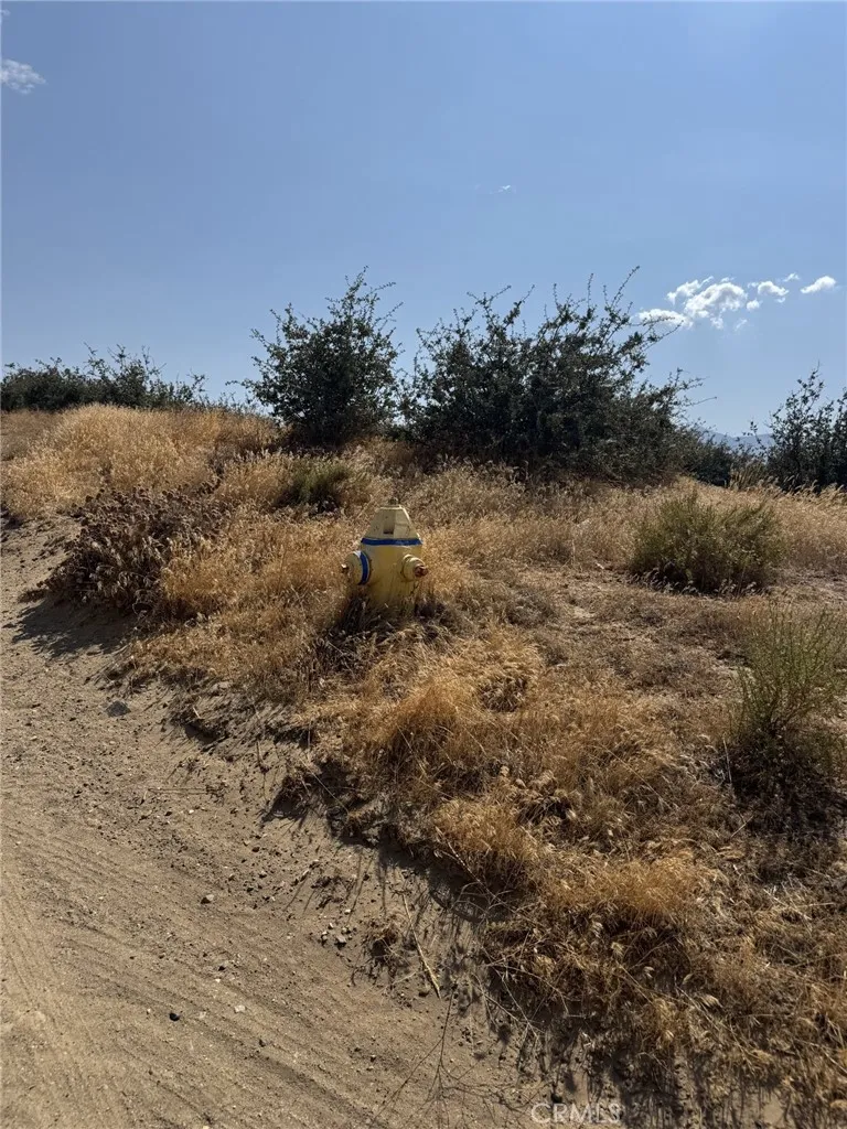 0 Mesquite, Phelan, California 92371 — photo 5