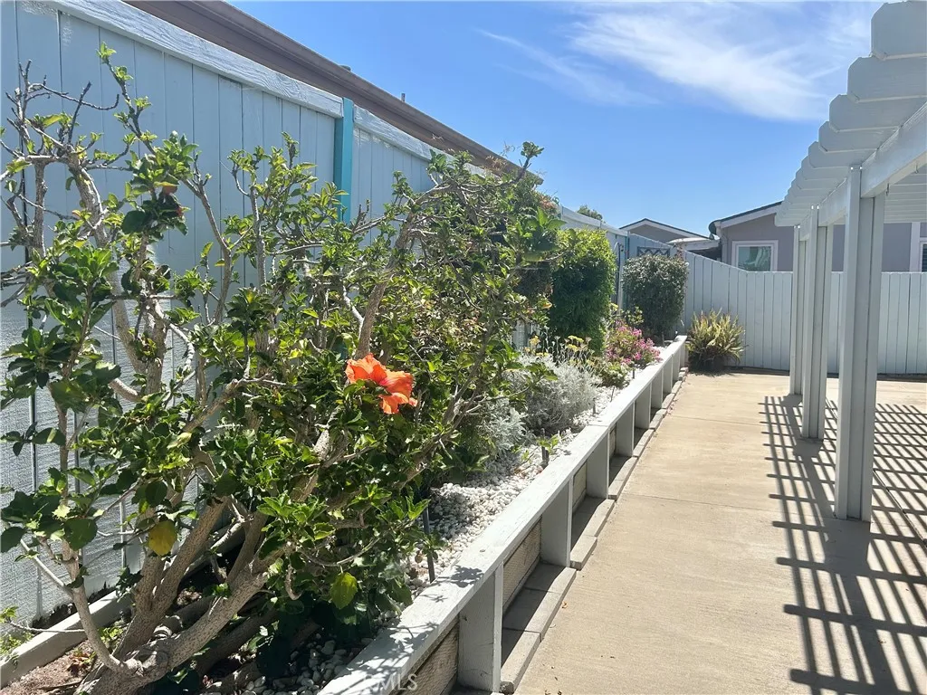 Flower Beds