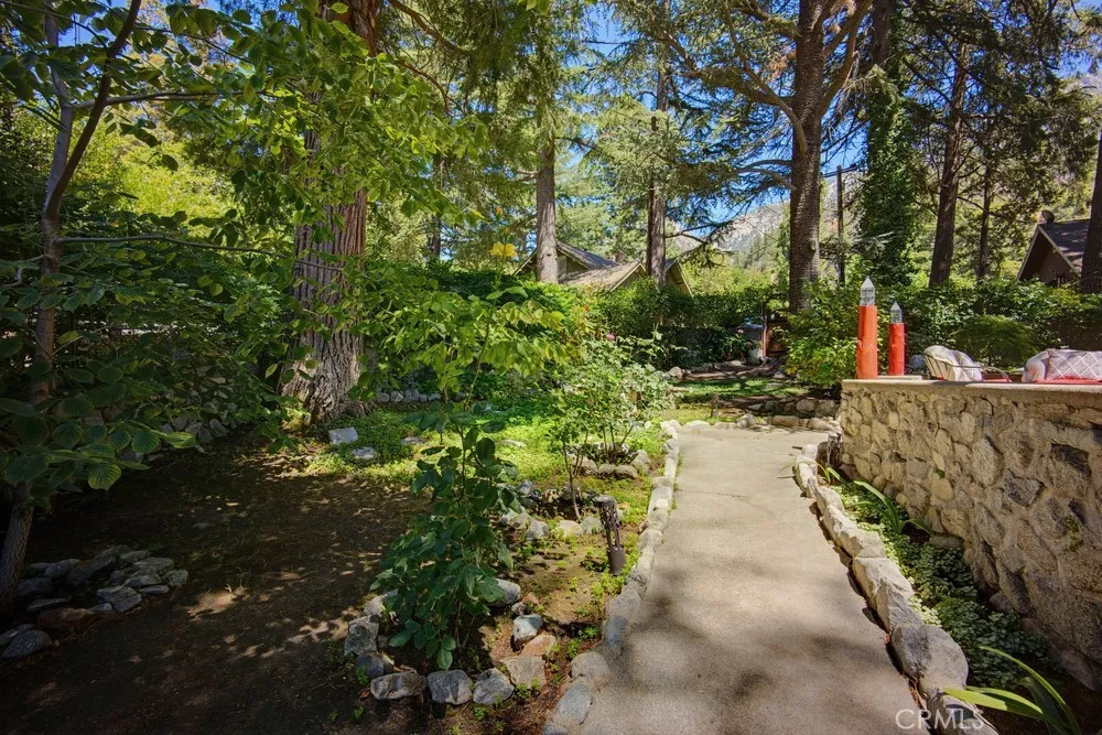 Walkway in Front Yard