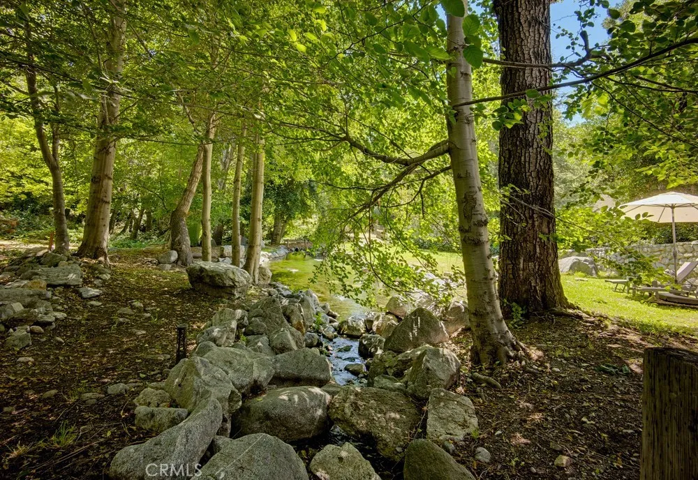 Stream