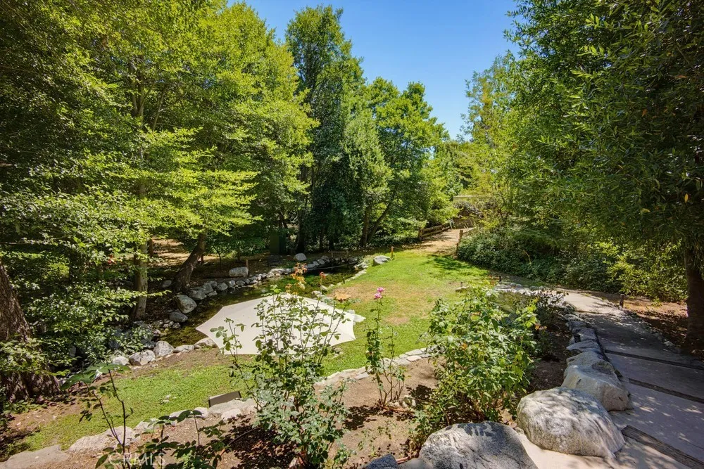 Pond in Back Yard