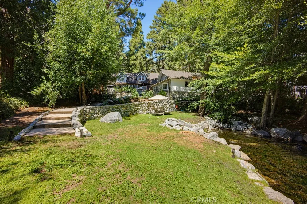 Pond