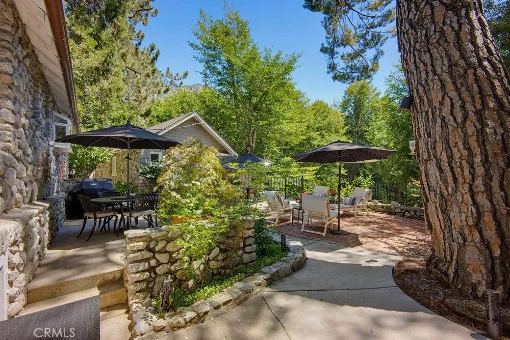 Back Patio