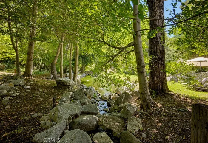 Stream