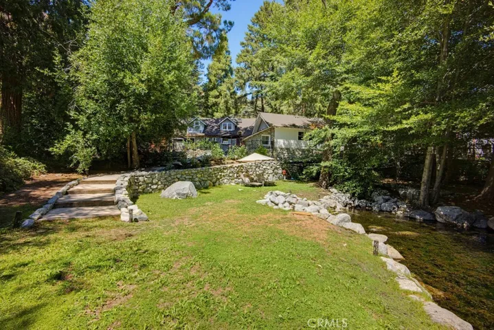 Pond