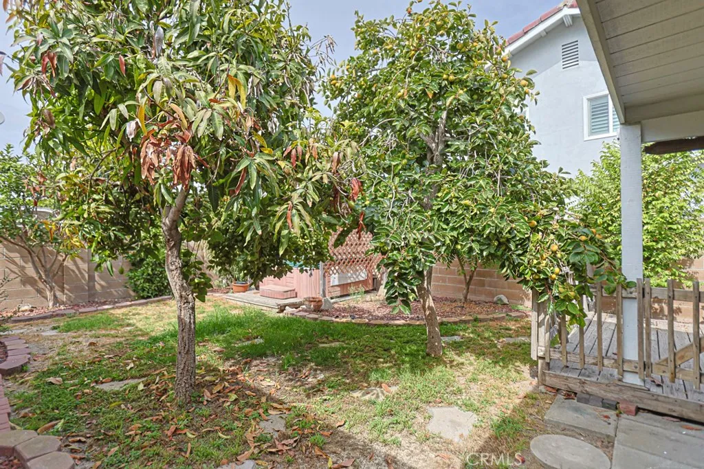 Backyard with Fruit Trees