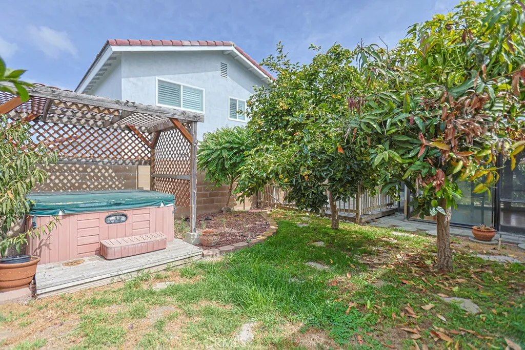 Backyard with Fruit Trees
