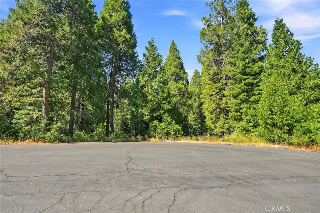 39730 Fox Glove Lane, Shaver Lake, California 93664 — photo 5