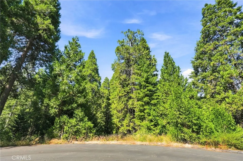 39730 Fox Glove Ln