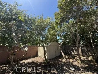 Shed in the backyard