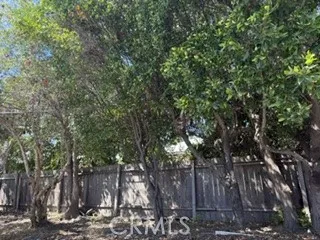 Mature fruit trees