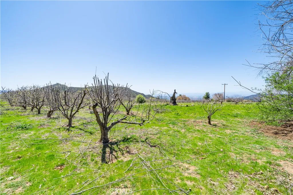 13557 Mile High Ranch, Oak Glen, California 92399 — photo 4