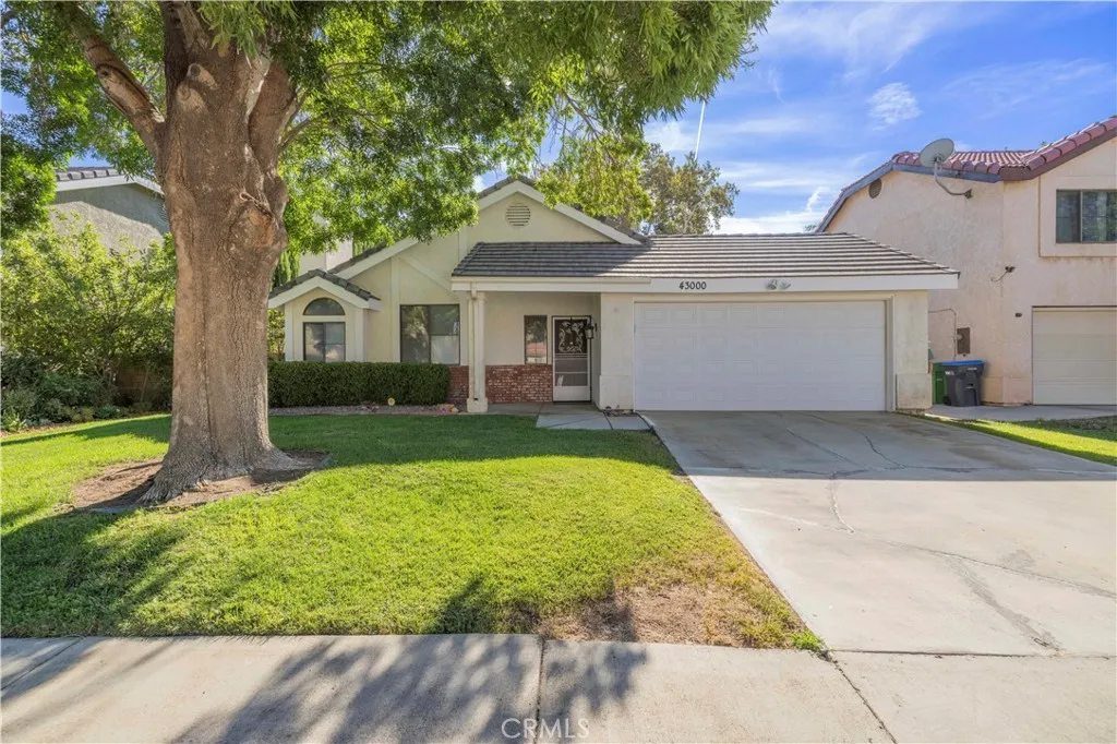 43000 Pearlwood