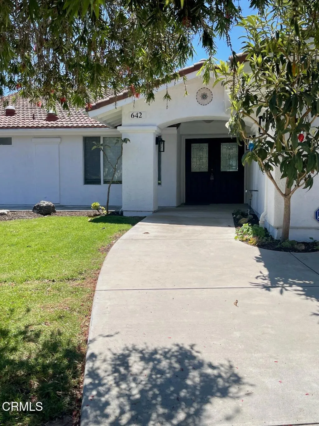 IMG_2516