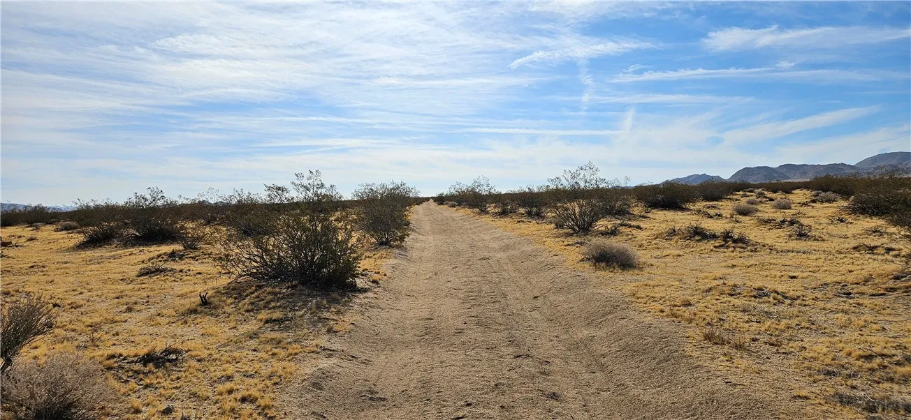 800 Datura Terrace Near, Lucerne Valley, California 92356 — photo 5