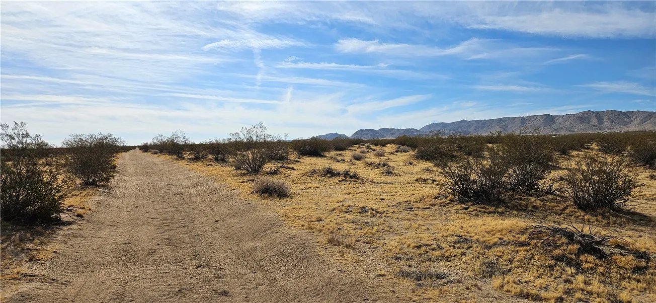 800 Datura Terrace Near, Lucerne Valley, California 92356 — photo 4