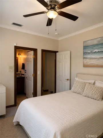 Downstairs bedroom
