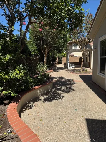Backyard View 3