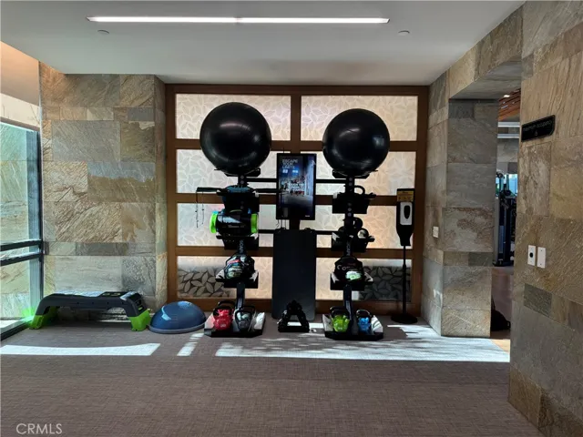 TRX area