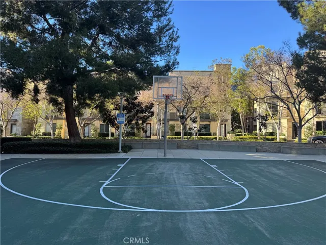 Basket ball court