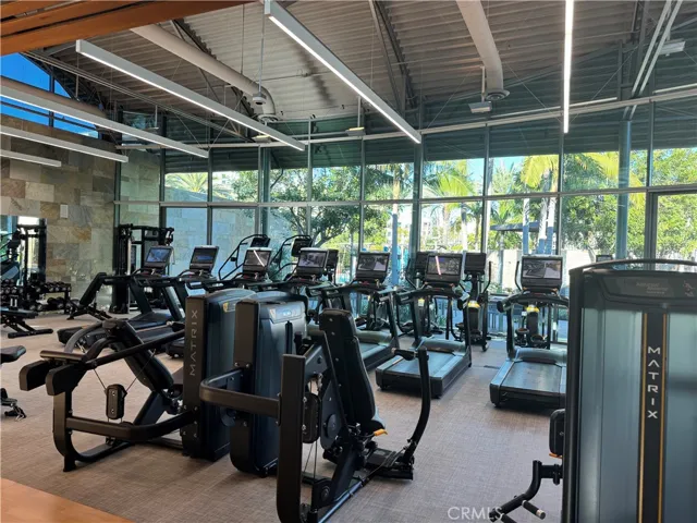 full size gym has many updated exercise machines.