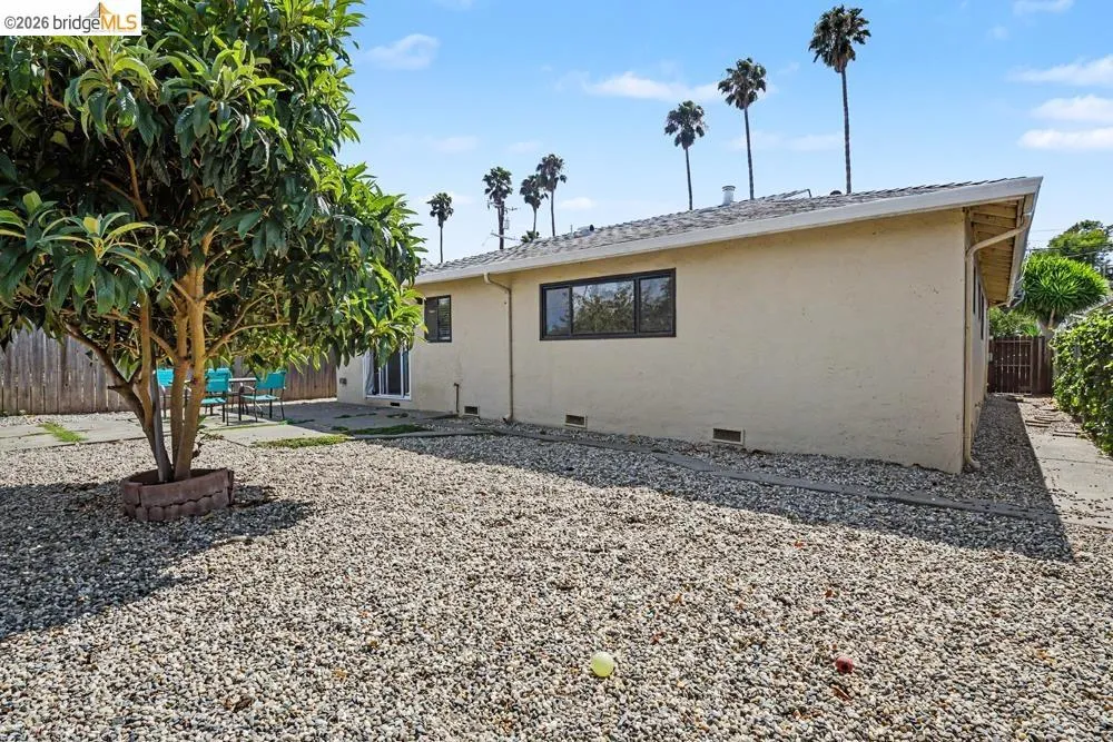 Expansive gravel backyard featuring a mature tree with a brick-lined base, a concrete patio, and a stucco exterior with multiple windows