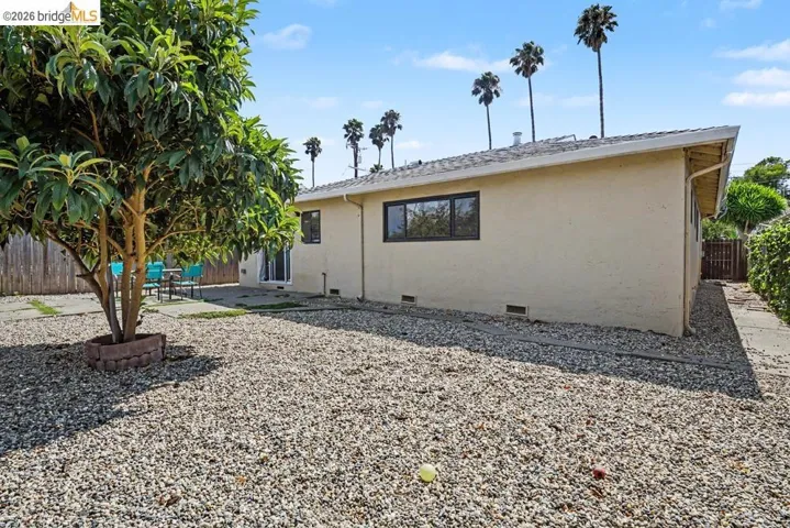Expansive gravel backyard featuring a mature tree with a brick-lined base, a concrete patio, and a stucco exterior with multiple windows