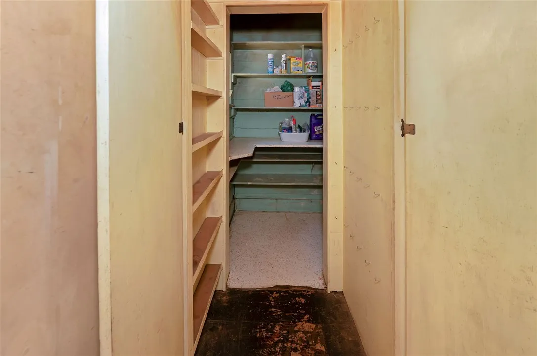 Huge Walk-In Pantry