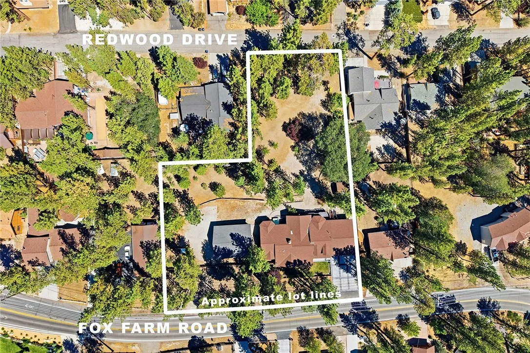 1249 Fox Farm Road, Big Bear City, California 92314 — photo 4