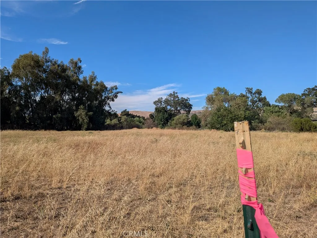 View looking onto the center of the property.