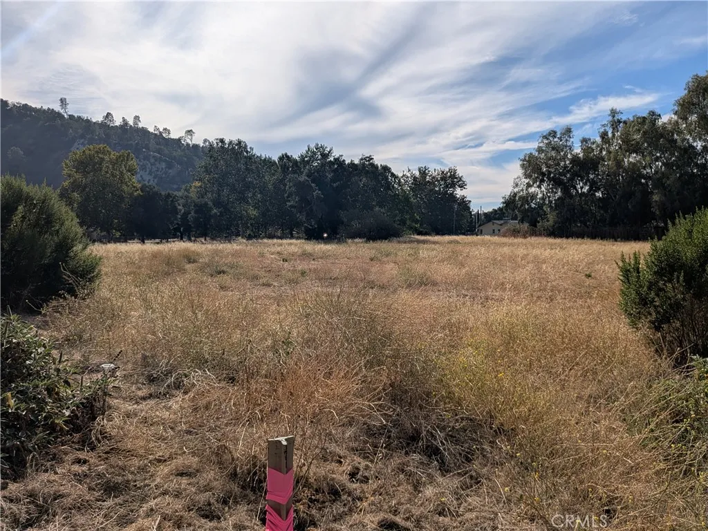 View looking onto the property from the rear left property marker.