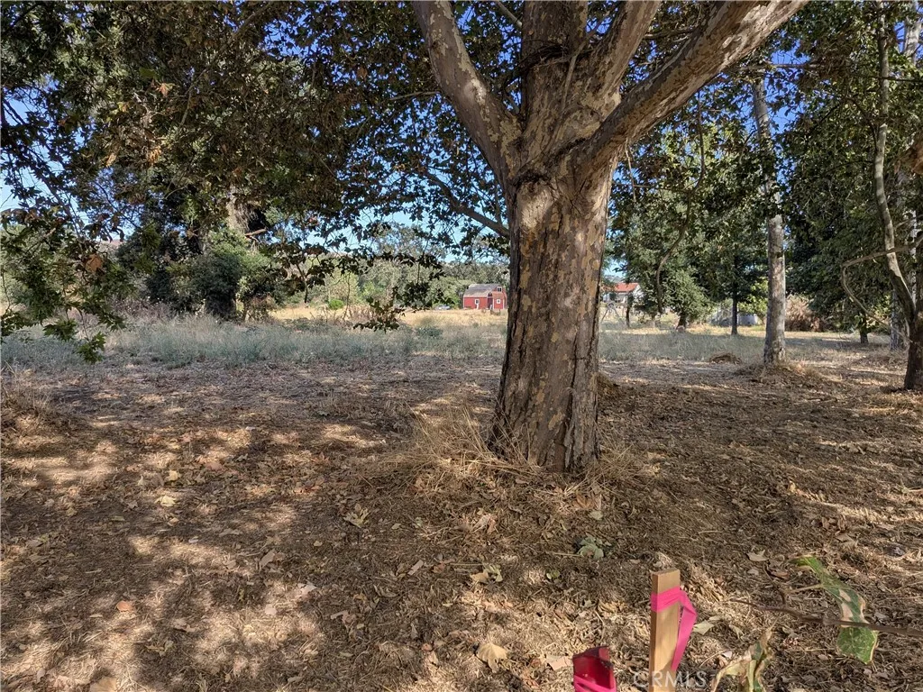 Welcome to Sycamore Rd in Atascadero.