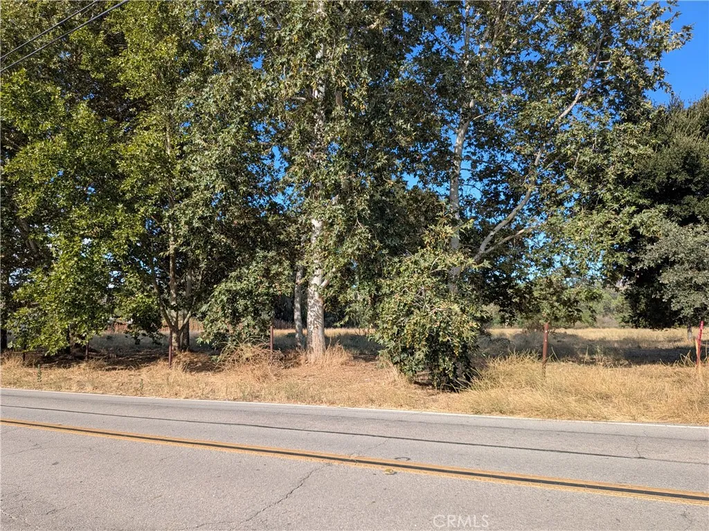 View of the lot from the road.