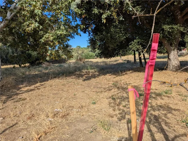 View looking onto the property from the front right property marker.