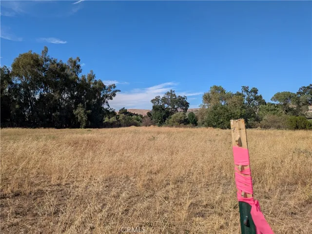 View looking onto the center of the property.