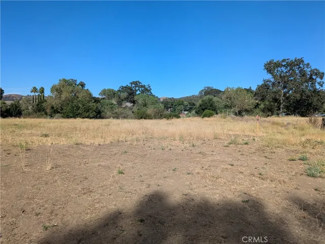 Largely flat build-able lot with utilities available at the road.