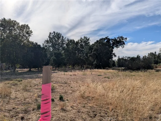 View looking onto the center of the property.
