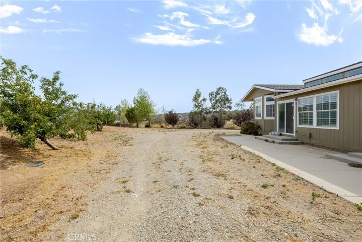 Side Yard