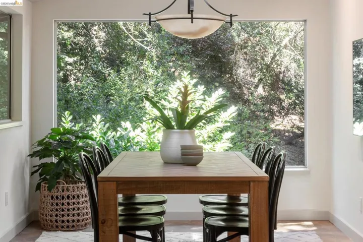 Expansive window framing abundant natural foliage