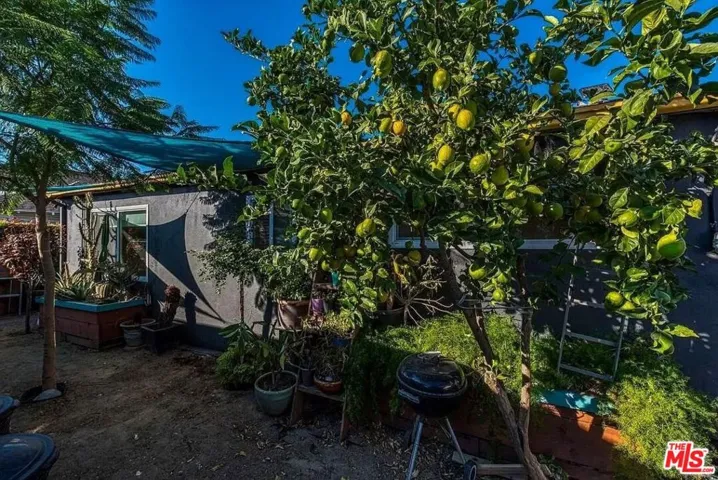 SIDE YARD